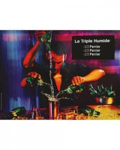 OGILVY,Perrier Le Triple Humide 1/3 Perrier 1/3 Perrier 1,2014,Artprecium FR 2020-07-08