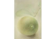 OKUYAMA TAMIE 1946,Lemon,1992,Mainichi Auction JP 2019-10-12