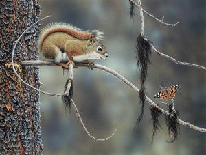OLSON Glenn 1945,Encounter Session [Red Squirrel - Painted Lady],1992,Levis CA 2023-05-20