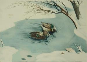 OLSZEWSKI Karl Ewald 1884-1965,Couple de canards sur un étang en hiver,Millon & Associés 2015-12-03