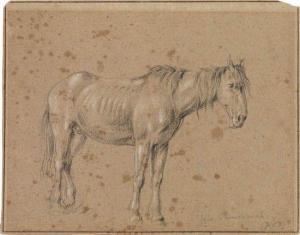 OMMEGANCK Balthazar Paul 1755-1826,Study of a Horse,1783,Swann Galleries US 2013-01-29