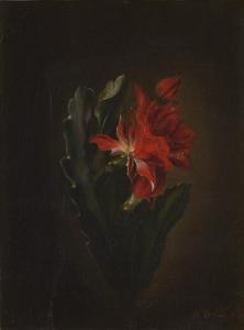 ORBAN Octavie 1800-1800,Orchideenkaktus mit roter Blüte,1841,Galerie Bassenge DE 2023-11-30