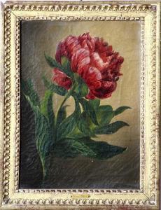 ORBAN Octavie 1800-1800,PEONY STILL LIFE,1866,Charlton Hall US 2011-12-02