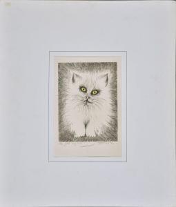 ORINEL Jean Pierre 1948,Le chat aux yeux jaunes,Conan-Auclair FR 2022-11-08