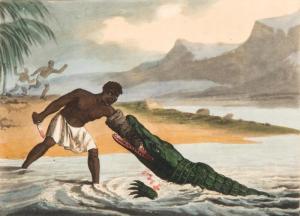 ORME Edward 1775-1848,The African Crocodile Hunters,1813,Mossgreen AU 2017-12-11