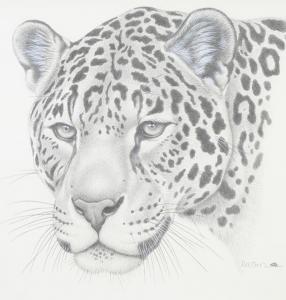 ORR Richard W,study of a jaguar,Denhams GB 2020-09-09