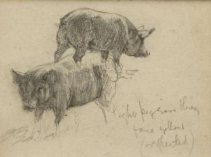 OSBORNE Walter Frederick 1859-1903,Pig Studies,Adams IE 2012-12-05