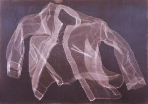 OSHIMA NEAL 1951,Untitled,1999,Christie's GB 2006-11-26