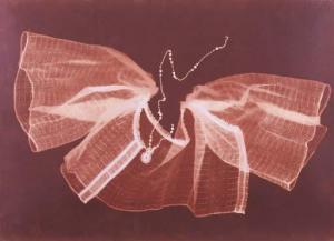 OSHIMA NEAL 1951,Untitled,1999,Christie's GB 2006-11-26