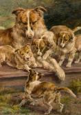 OSTHAUS Edmund Henry 1858-1928,Collie and pups,Bonhams GB 2011-02-16