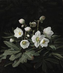 OTTESEN Otto Didrik 1816-1892,Christmas roses,1874,Bruun Rasmussen DK 2024-01-15