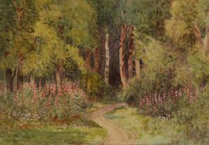 OUTHWAITE Will,Foxgloves beside a woodland path,Burstow and Hewett GB 2009-01-28