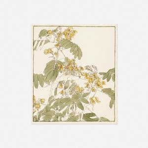 OVERBECK Hannah Borger 1870-1931,Untitled (botanical study),Rago Arts and Auction Center 2022-01-20