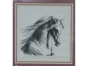 PACE Shirley 1900,Study of a horse's head,1989,Chilcotts GB 2014-07-19