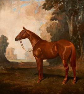PALMER James Lynwood,CORCYRA, A CHESTNUT RACEHORSE (OWNED BY LORD LONDO,1911,Whyte's 2022-06-06