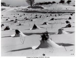 PALMER Phil 1911-1992,Origin of Women's Hats (Cornfield in Winter),1941,Heritage US 2020-12-09