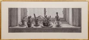PAQUETTE GREGORY 1947,Cacti,Stair Galleries US 2015-05-15
