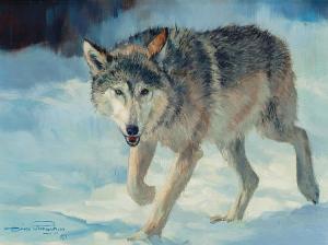 PARAVANO Dino 1935,Winter Wolf,2007,Heritage US 2015-05-02