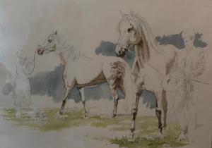PARCEVAUX de Carl 1936,Cavaliers et chevaux,Morand FR 2016-07-19