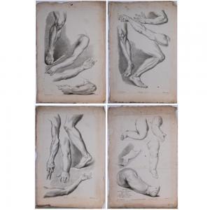 PARIZEAU Philippe Louis 1740-1801,Four Anatomical Studies,Gray's Auctioneers US 2019-03-13