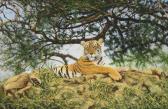 PARK Stephen 1953,A tiger lying on a rock beneath a tree,Sworders GB 2021-08-01
