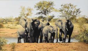 PARK Stephen 1953,Elephants by a watering hole,Halls GB 2022-11-09