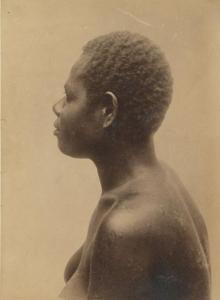 PARKINSON Richard 1844-1909,Nouvelle-Guinée: profil de femme,c.1885,Millon & Associés FR 2013-03-19