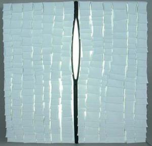 PARRAU ANTOINETTE,Réflecteur blanc sur lumière blanche,Joron-Derem FR 2009-04-06