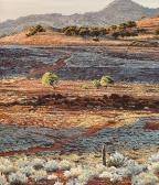 PARSONS ALLYSON,Sunrise in the Outback, Warra Weena, Gammon Range,1991,Elder Fine Art 2019-11-24