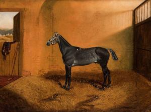 PARTRIDGE J.C 1800-1800,a dapple grey polo pony in a stable,1880,Graham Budd GB 2019-07-15