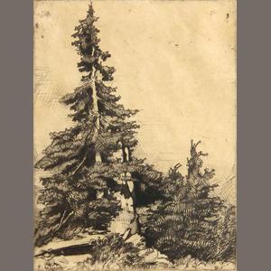 PARTRIDGE T 1900-1900,Untitled (Tall evergreen),Bonhams GB 2012-07-22