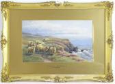 PASSMORE CT,The Cliffs at Westward Ho!, Devon, Sheep on the co,Claydon Auctioneers UK 2021-12-29