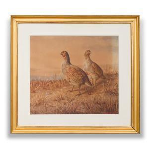 PATON Frank 1856-1909,A Pair of Grouse,1899,Stair Galleries US 2018-10-12