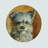 PATON Frank 1856-1909,The Head of a Terrier,1880,John Nicholson GB 2015-12-17