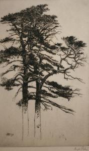 PATON Hugh 1853-1927,Tree Study,Keys GB 2014-05-16
