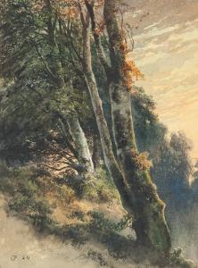 PAULI Charles 1819-1880,Bewaldeter Berghang im Herbst,Leo Spik DE 2015-07-09