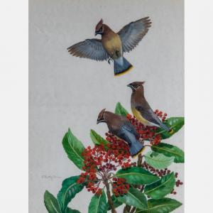 PAXTON OLIVER Elisabeth 1891-1977,Cedar Waxing on Photinia,Gray's Auctioneers US 2019-01-16