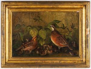 PEALE Rubens 1784-1865,Still Life,Cottone US 2024-01-24