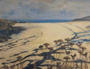 PEARCE Ivy T 1900-1900,Porth Joke Beach, Newquay,David Lay GB 2020-06-11