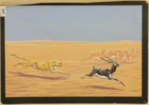 PEARMAN T. Gregory 1900-1900,cheetah chasing a gazelle,Burstow and Hewett GB 2016-04-27