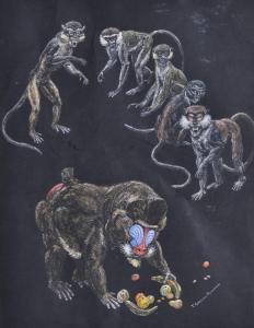 PEARMAN T. Gregory 1900-1900,group of monkeys,Burstow and Hewett GB 2010-09-22