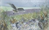 PEARSON Bruce Edward 1950,Hen harrier nest, Langholm,Sotheby's GB 2007-10-25