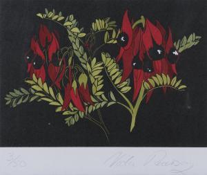 PEARSON Vida 1957,Sturt Pea,Leonard Joel AU 2019-04-10