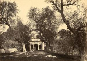 PEDRA Joseph 1870,Mosquées,Ader FR 2013-06-05