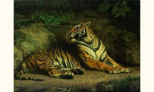 PEDRIELLE Charles 1800,Tigre couché,1890,Deutsch AT 2006-12-20