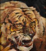 PEERSON H,Tigerportrait Kopfbildnis eines fauchenden Tigers,1941,Mehlis DE 2016-08-25