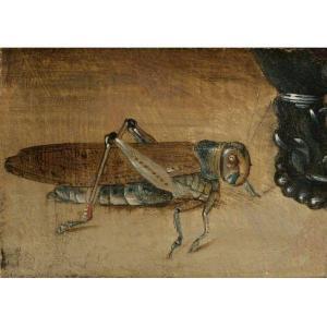 PEETERS Clara 1585-1655,A GRASSHOPPER BESIDE A ROEMER: A FRAGMENT,Sotheby's GB 2011-01-27