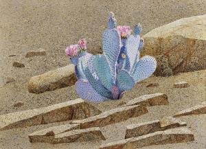 PEETERS Hans J 1937,A single cluster of beavertail cactus in soft blue,1981,Chait US 2016-11-20