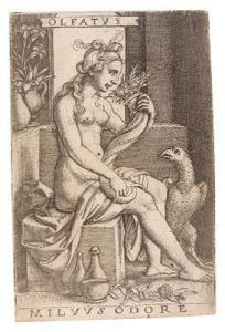 PENCZ Georg 1500-1550,Olfatus - Smell,1530,Palais Dorotheum AT 2018-03-28