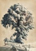 PENNETHORNE Thomas 1799-1819,Study of an elm tree by the sea,Bloomsbury London GB 2010-07-15